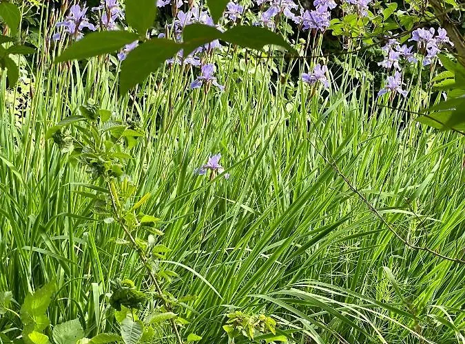 公寓 Freiblick 1 Bad Glbg Mit Garten Top1 *